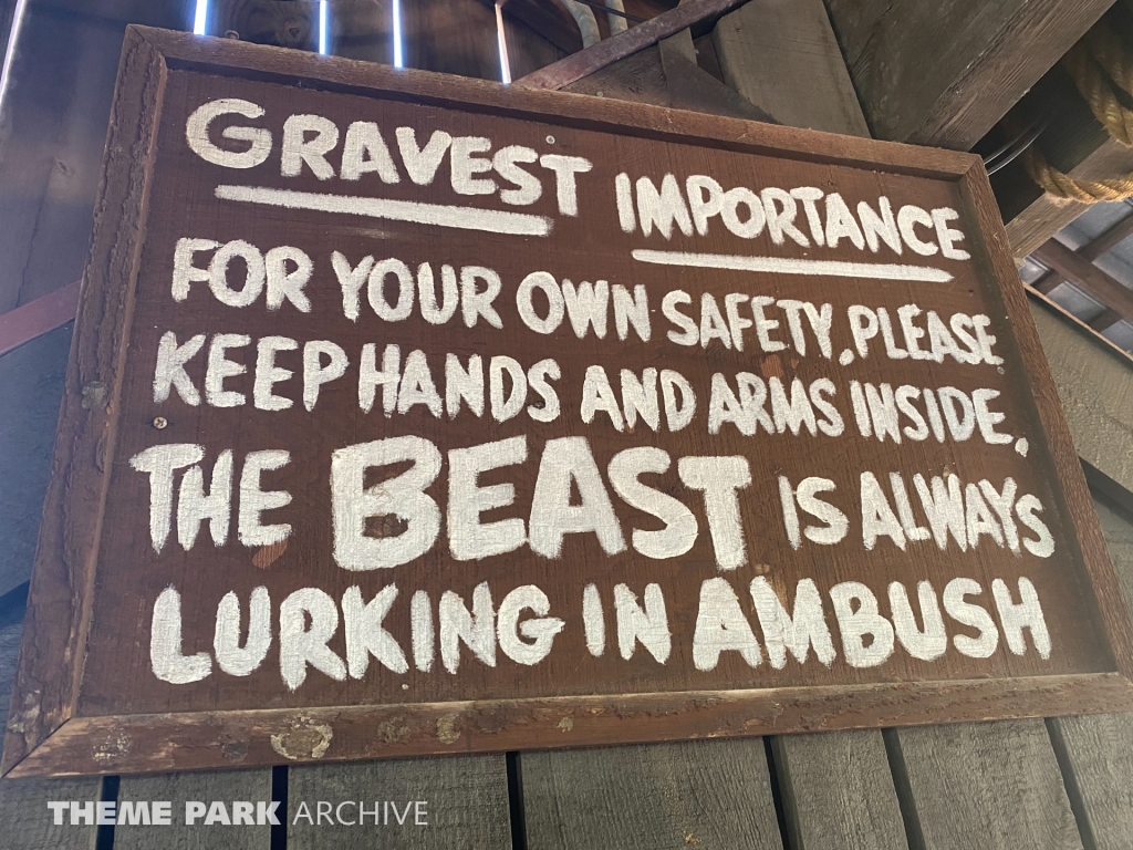 The Beast at Kings Island