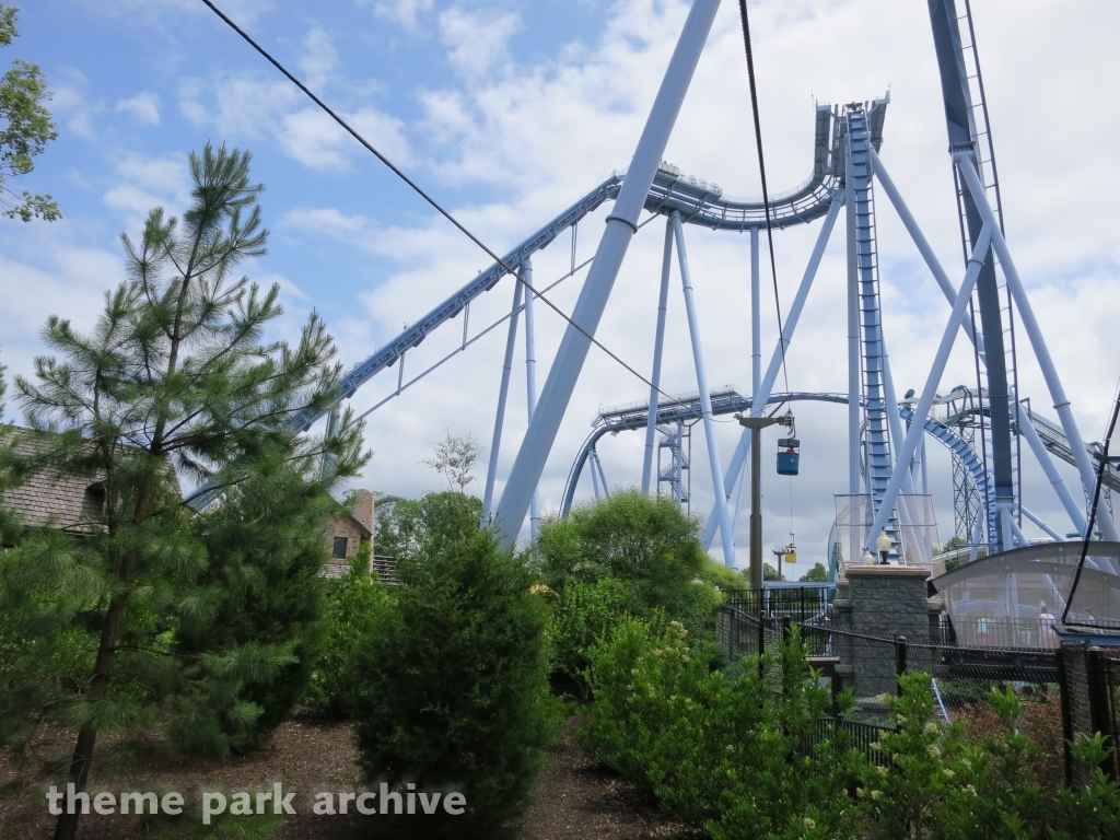 Griffon at Busch Gardens Williamsburg