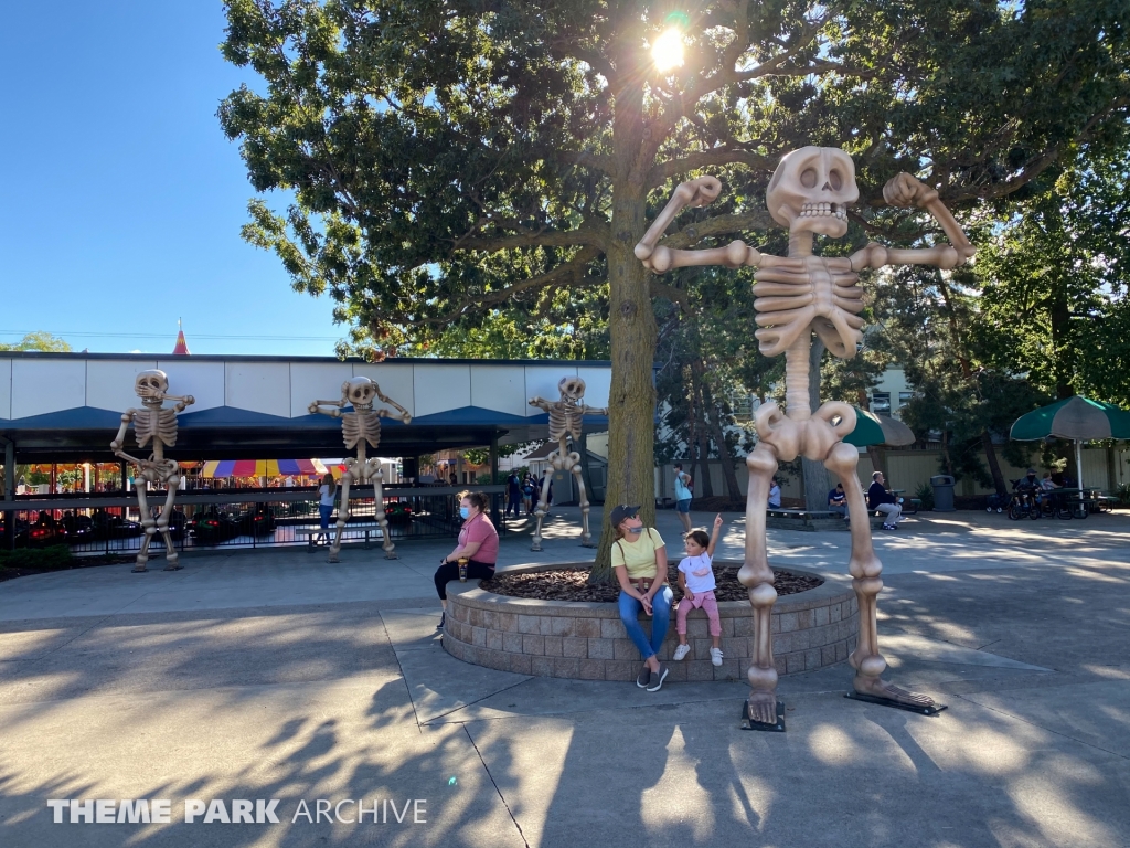 Dodgem at Cedar Point