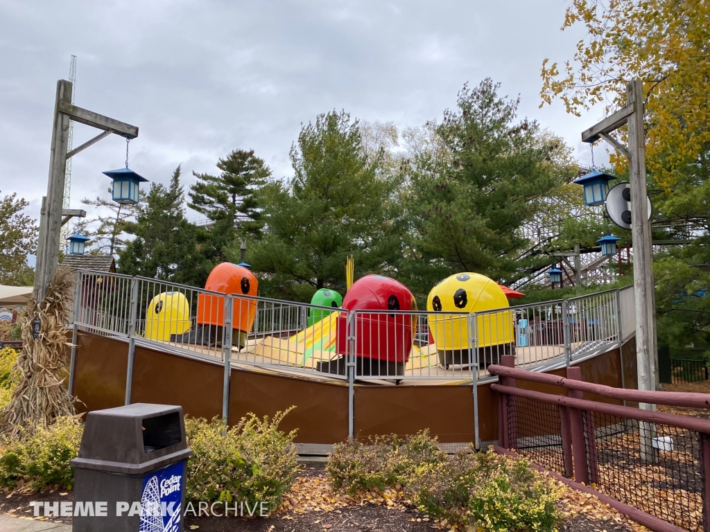 Linus Beetle Bugs at Cedar Point
