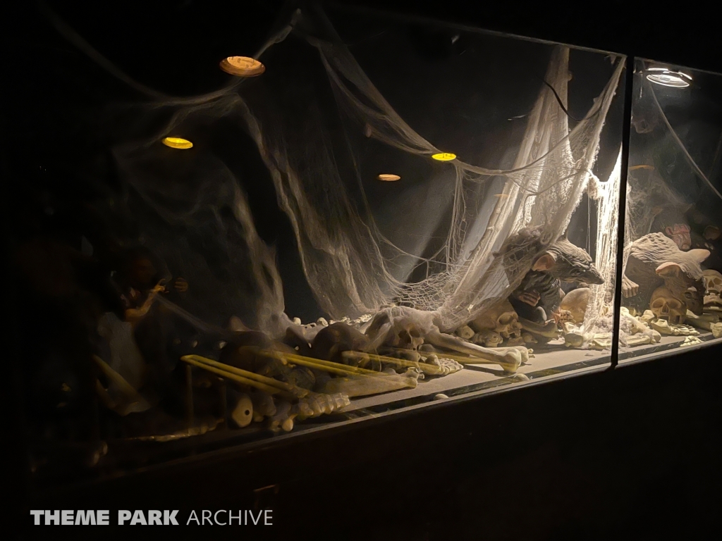 Pirate's Cove at Waldameer Park