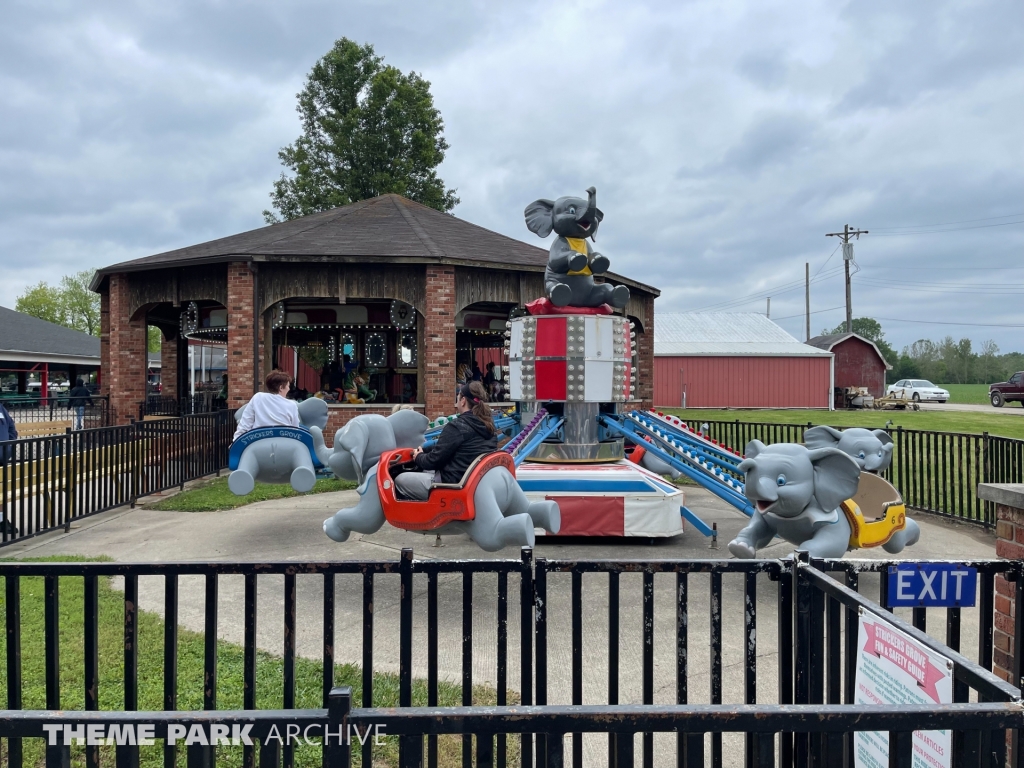Elephants at Stricker's Grove