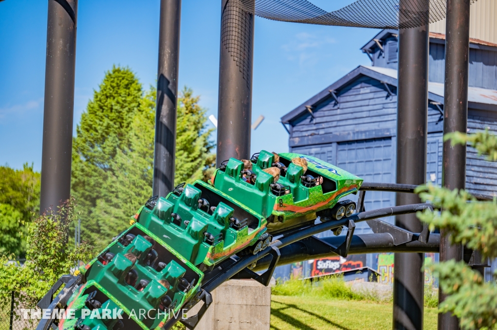 Viper at Six Flags Darien Lake