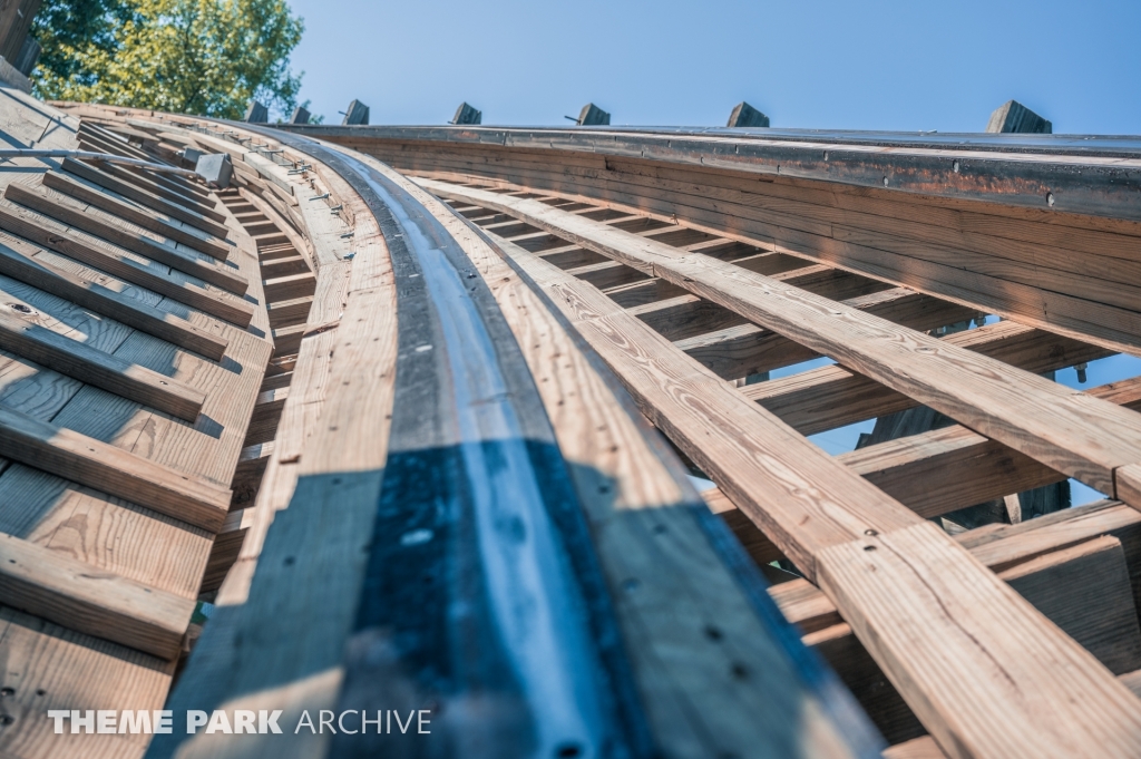 Raven at Holiday World