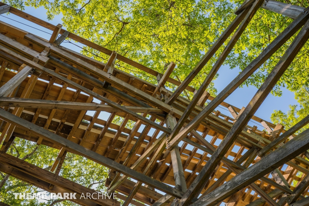 Raven at Holiday World