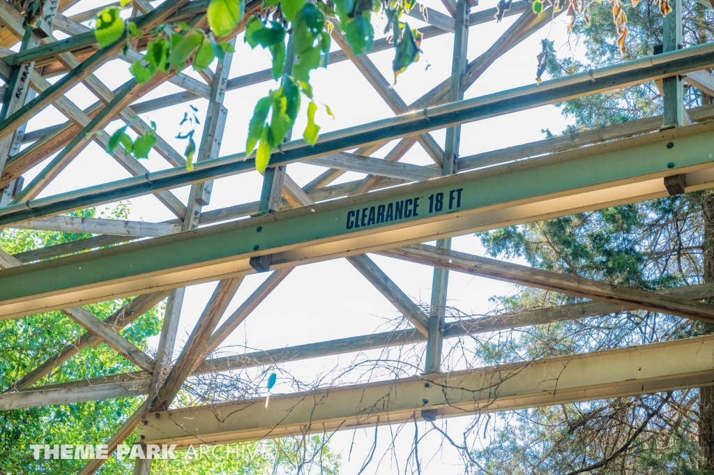 Raven at Holiday World