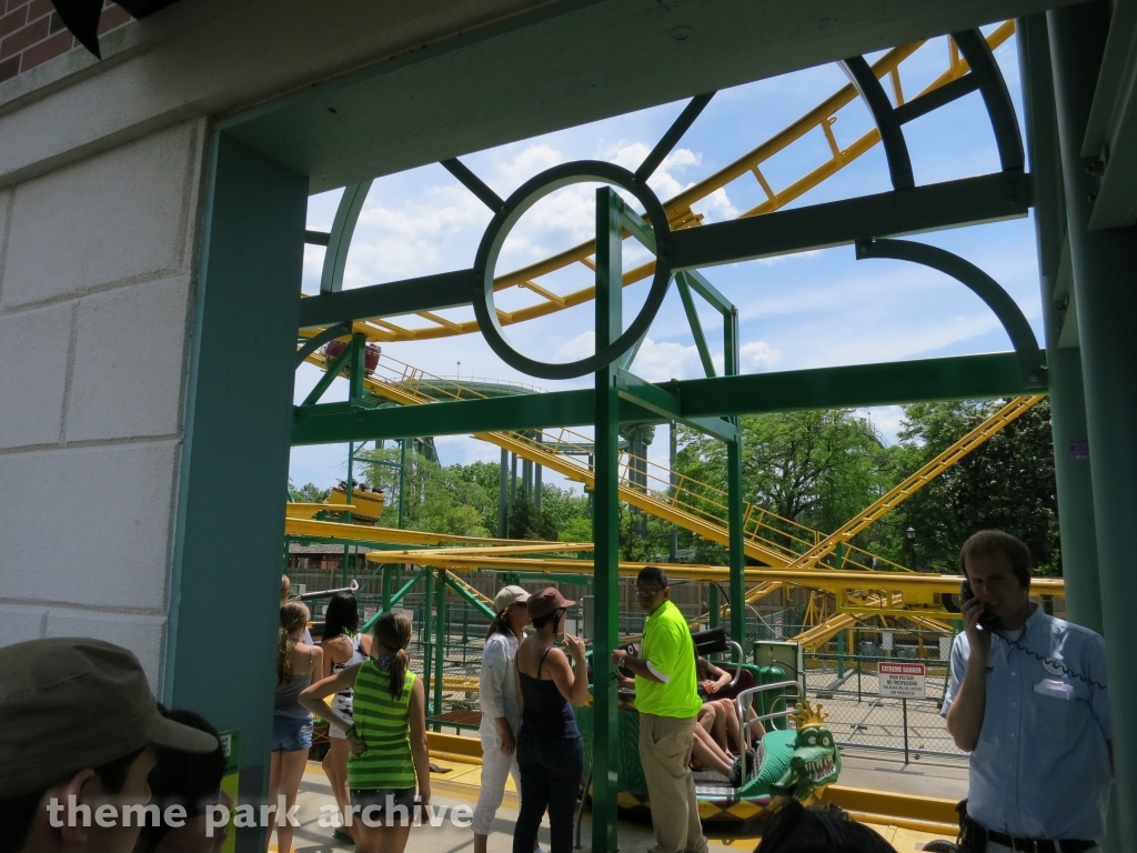 Ragin' Cajun at Six Flags Great America