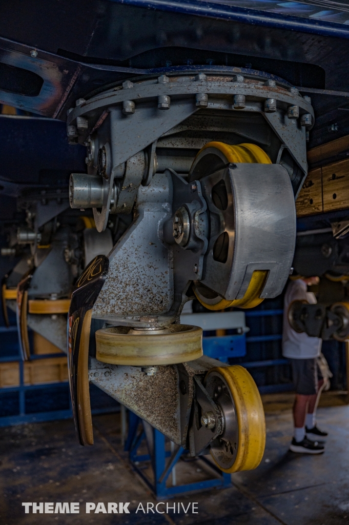 Valravn at Cedar Point
