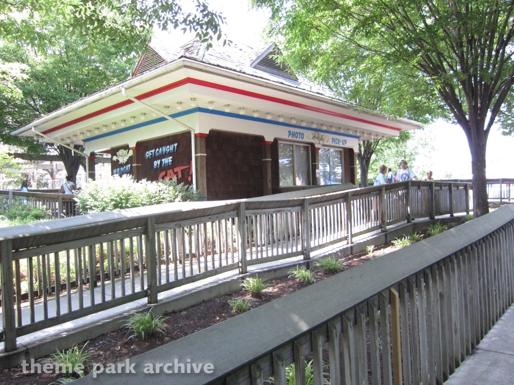 Wildcat at Hersheypark