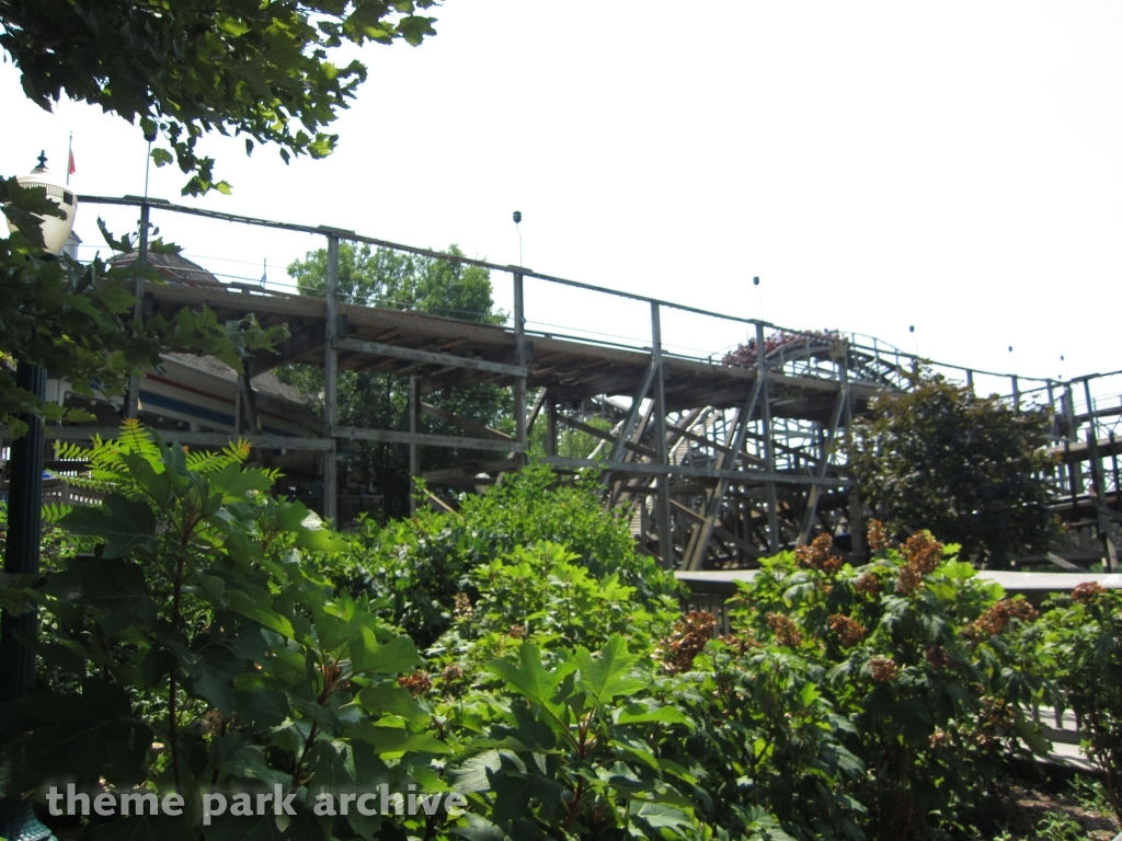 Wildcat at Hersheypark