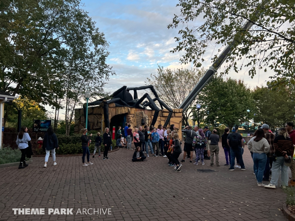 Black Widow at Kennywood