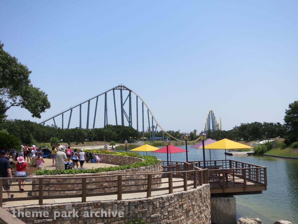 Steel Eel at SeaWorld San Antonio