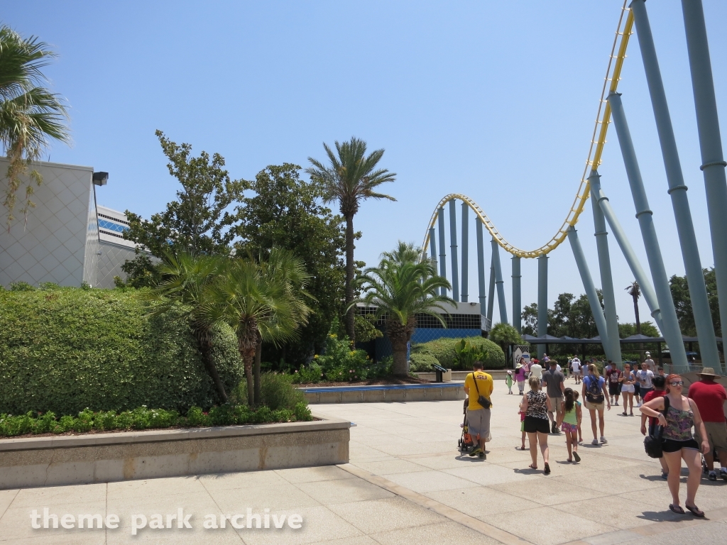 Steel Eel at SeaWorld San Antonio