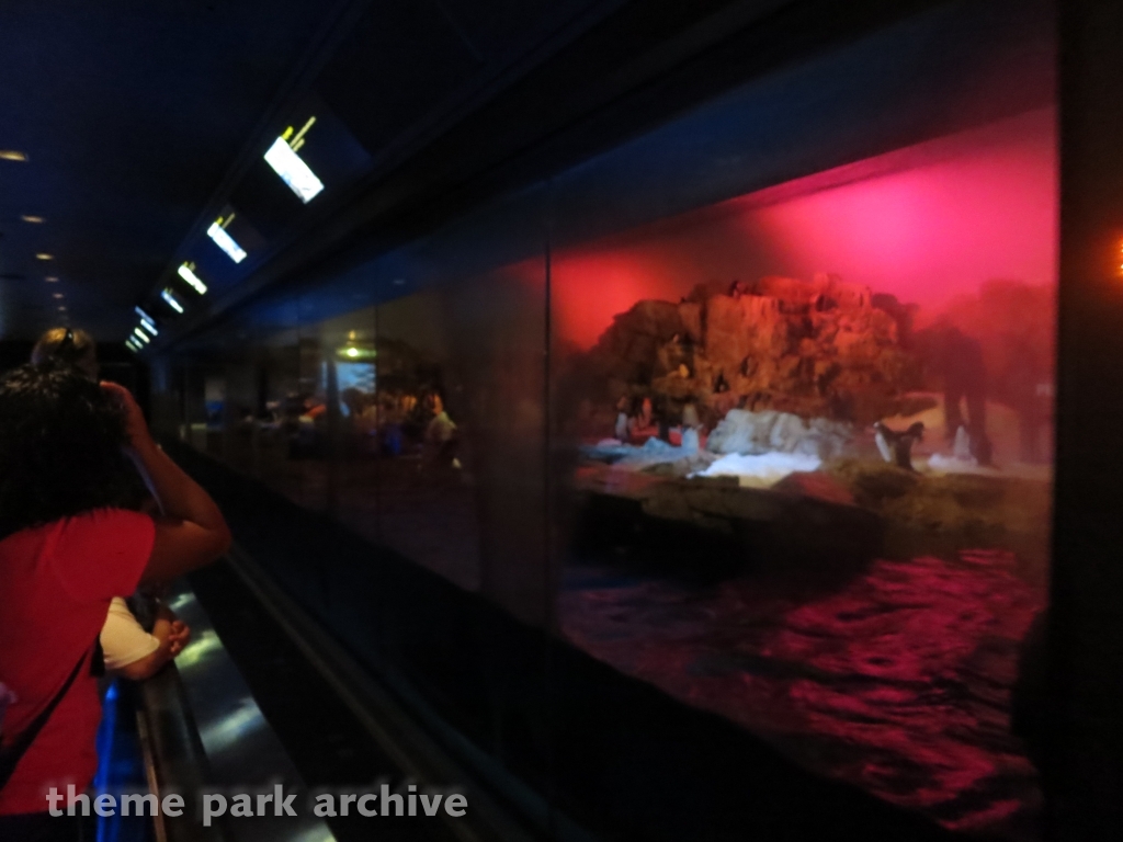 Penguin Encounter at SeaWorld San Antonio