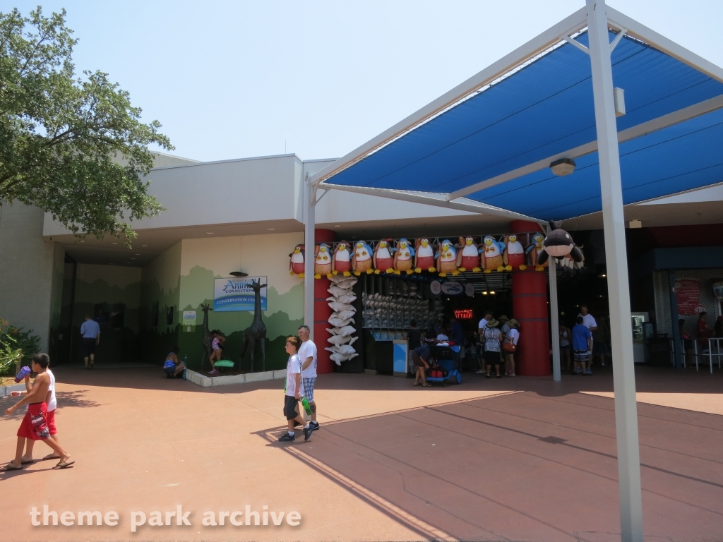 Penguin Encounter at SeaWorld San Antonio