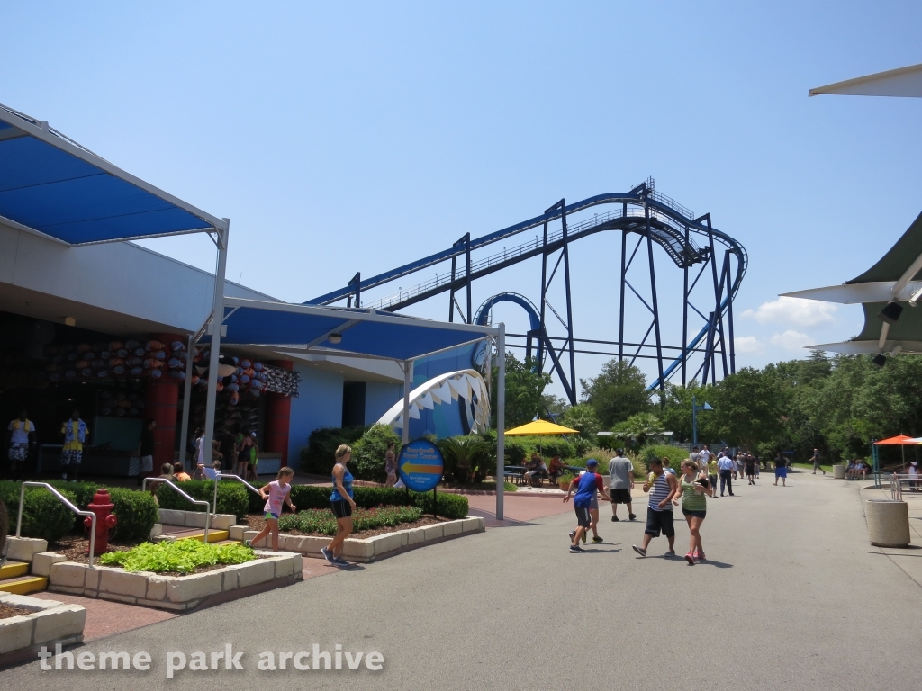 The Great White at SeaWorld San Antonio
