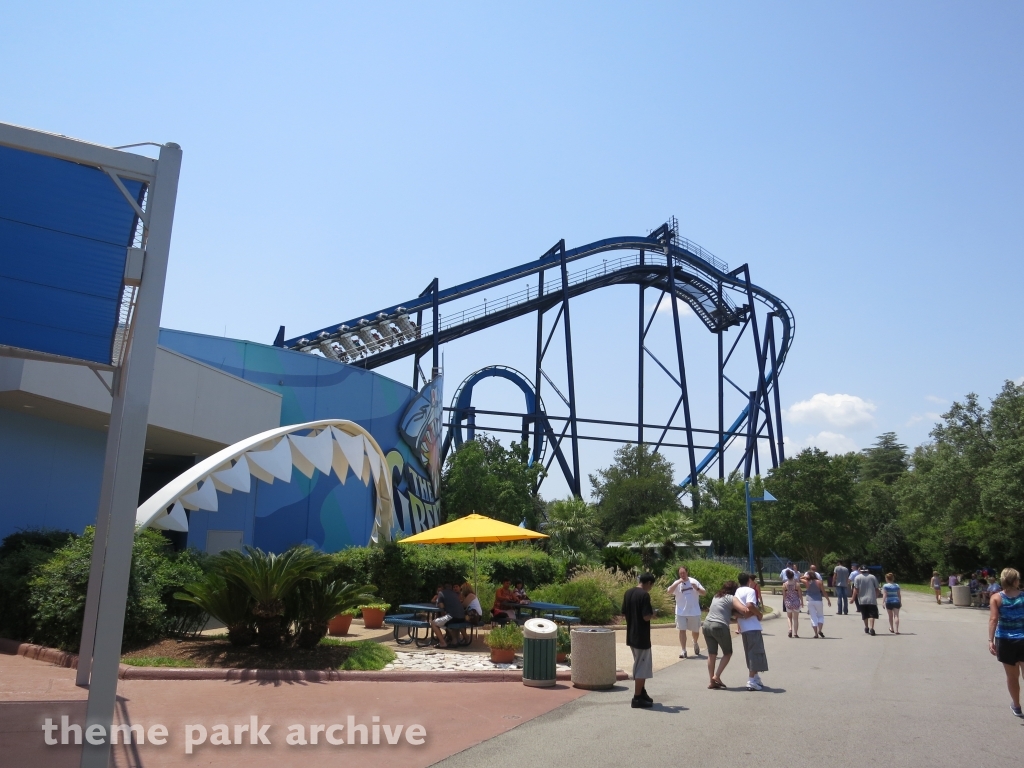 The Great White at SeaWorld San Antonio