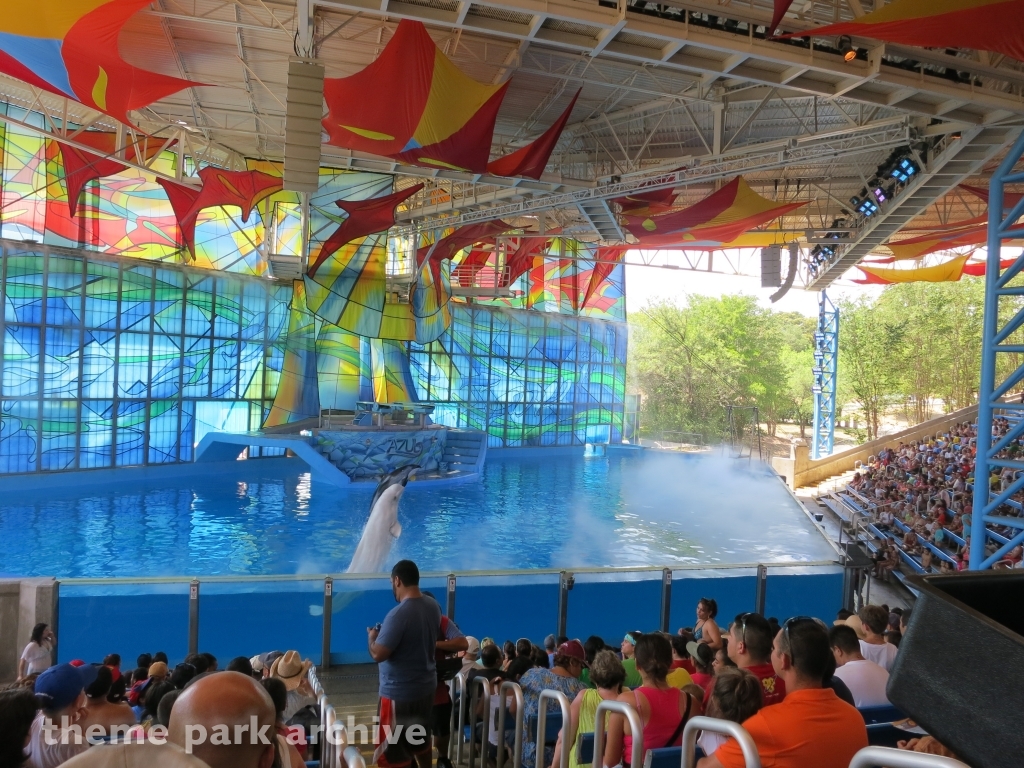 Beluga Stadium at SeaWorld San Antonio