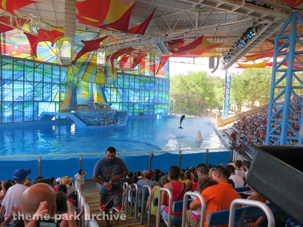 Beluga Stadium at SeaWorld San Antonio