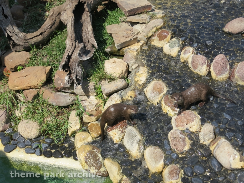 Rocky Point Preserve at SeaWorld San Antonio