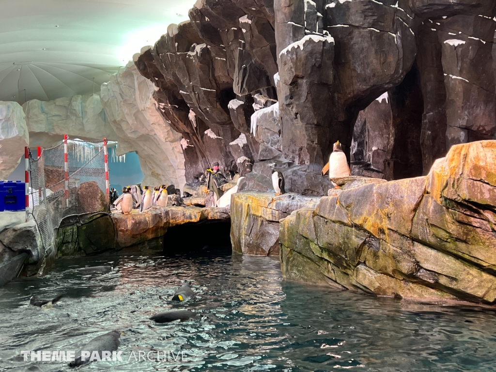 Antarctica Empire of the Penguin at SeaWorld Orlando