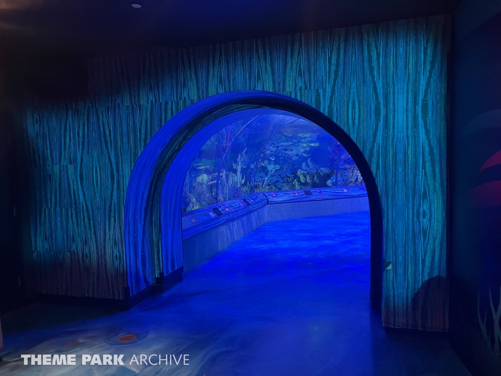 Shark Encounter at SeaWorld Orlando