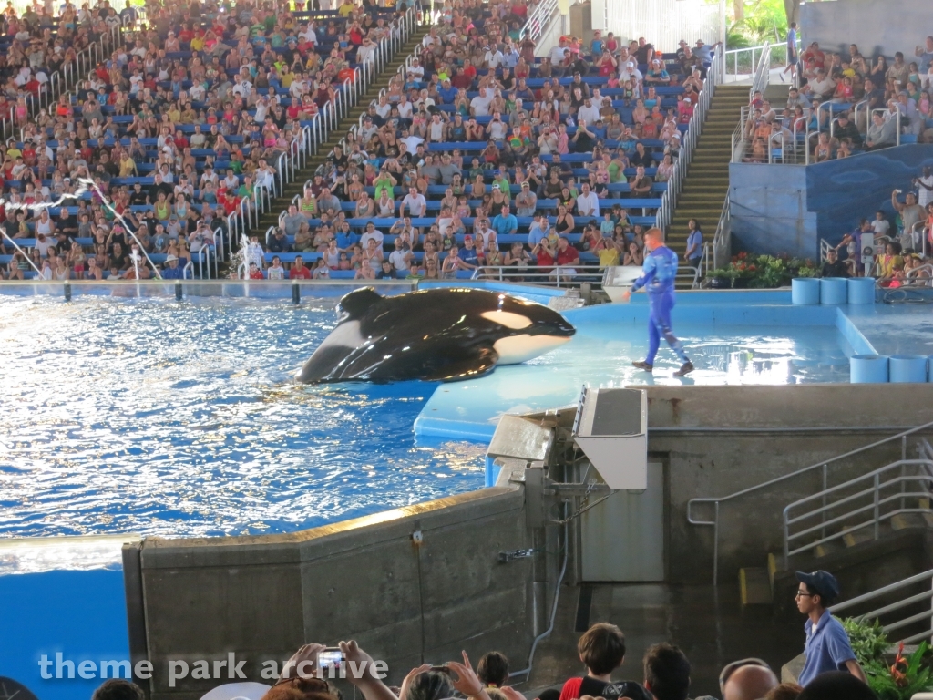 Shamu Theater at SeaWorld San Antonio