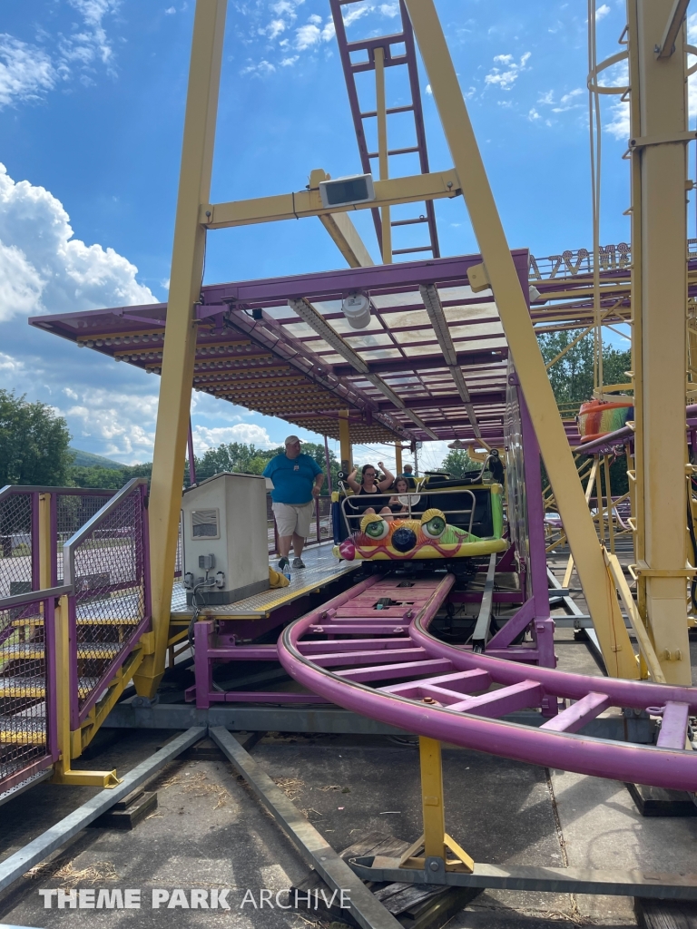 Crazy Mouse at DelGrosso's Amusement Park