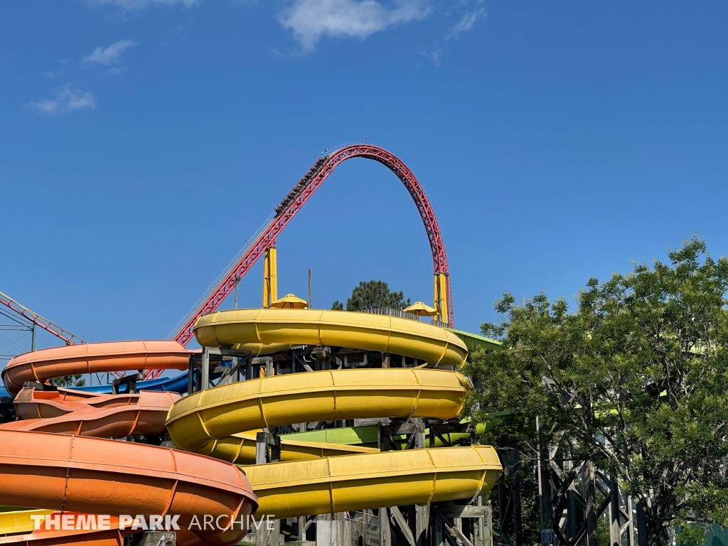 Pantherian at Kings Dominion