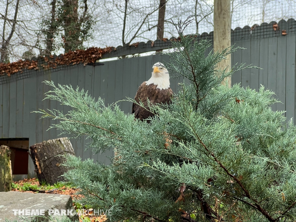 Jack Hanna's Wild Reserve at Busch Gardens Williamsburg