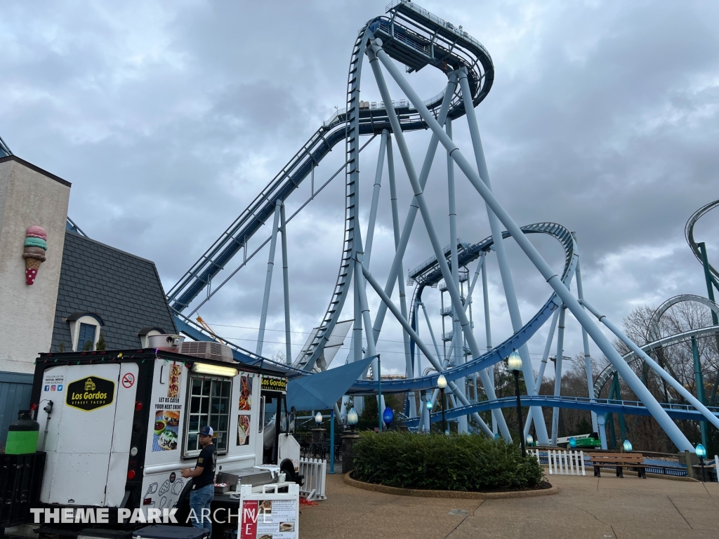 Griffon at Busch Gardens Williamsburg