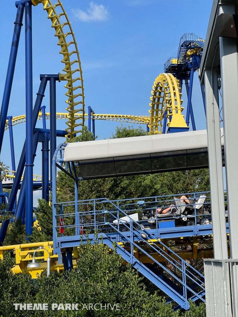 Nighthawk at Carowinds