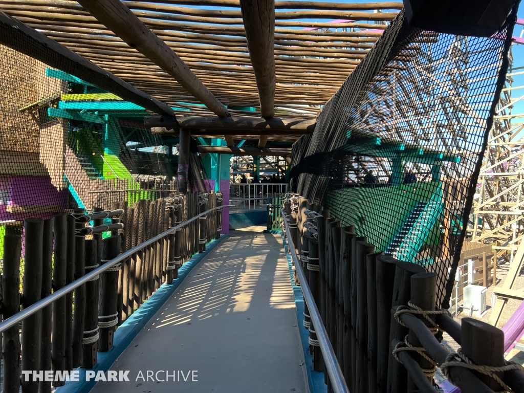 Iron Gwazi at Busch Gardens Tampa