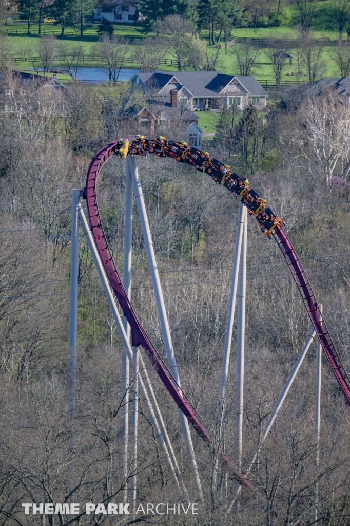 Diamondback at Kings Island