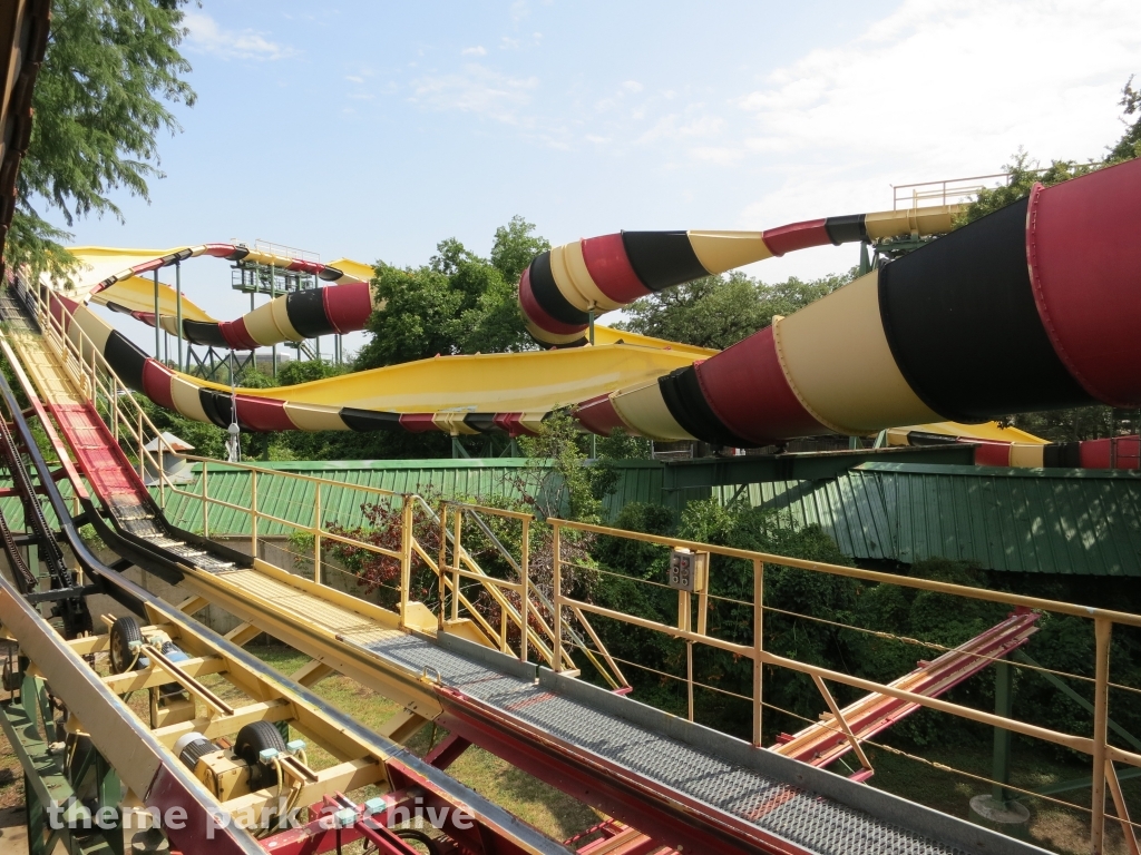 La Vibora at Six Flags Over Texas