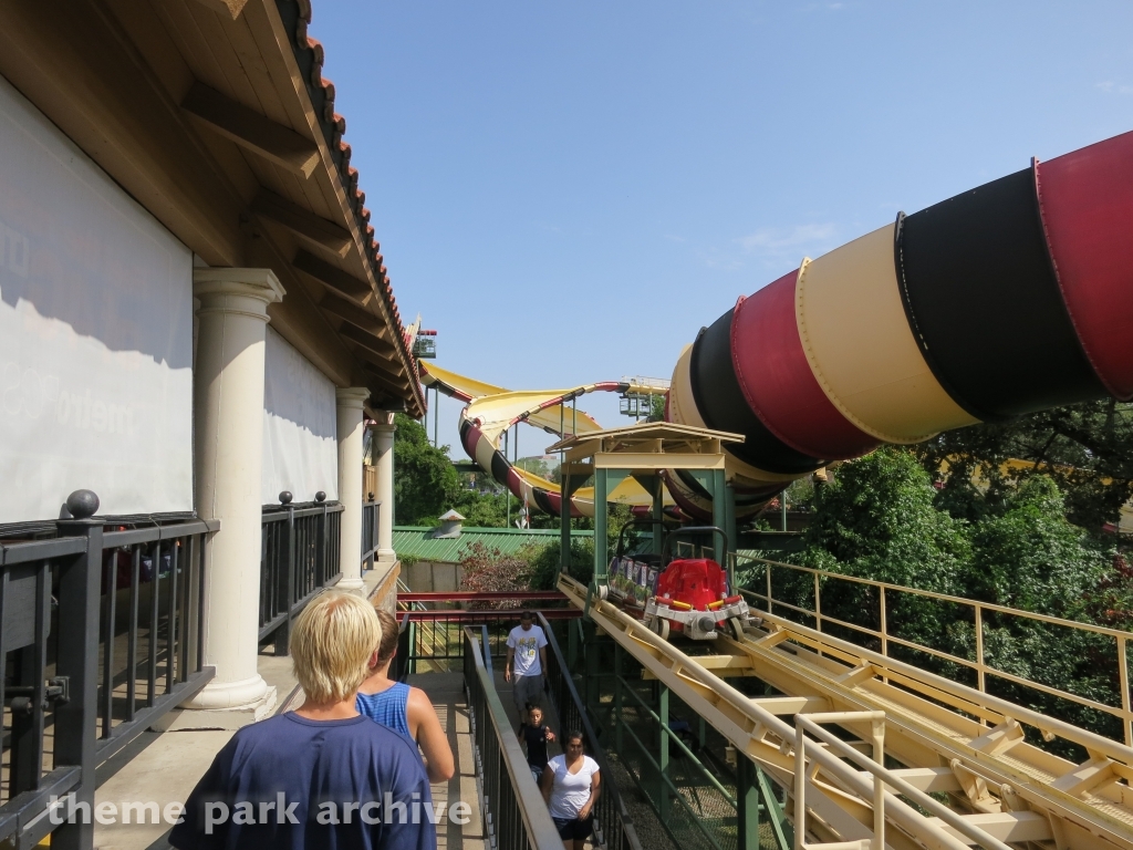 La Vibora at Six Flags Over Texas