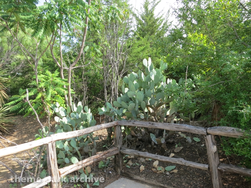 Titan at Six Flags Over Texas