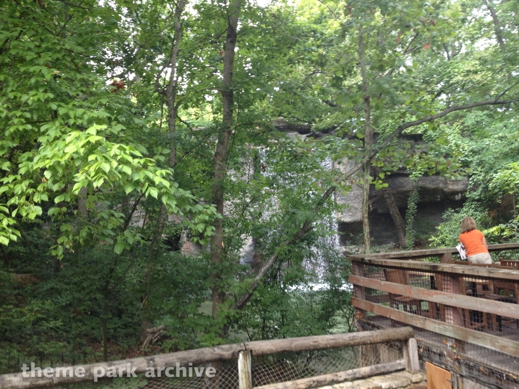 American Plunge at Silver Dollar City