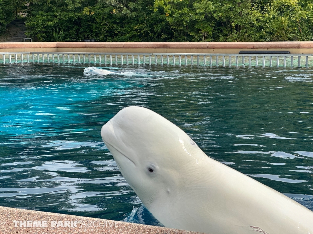 Friendship Cove at Marineland