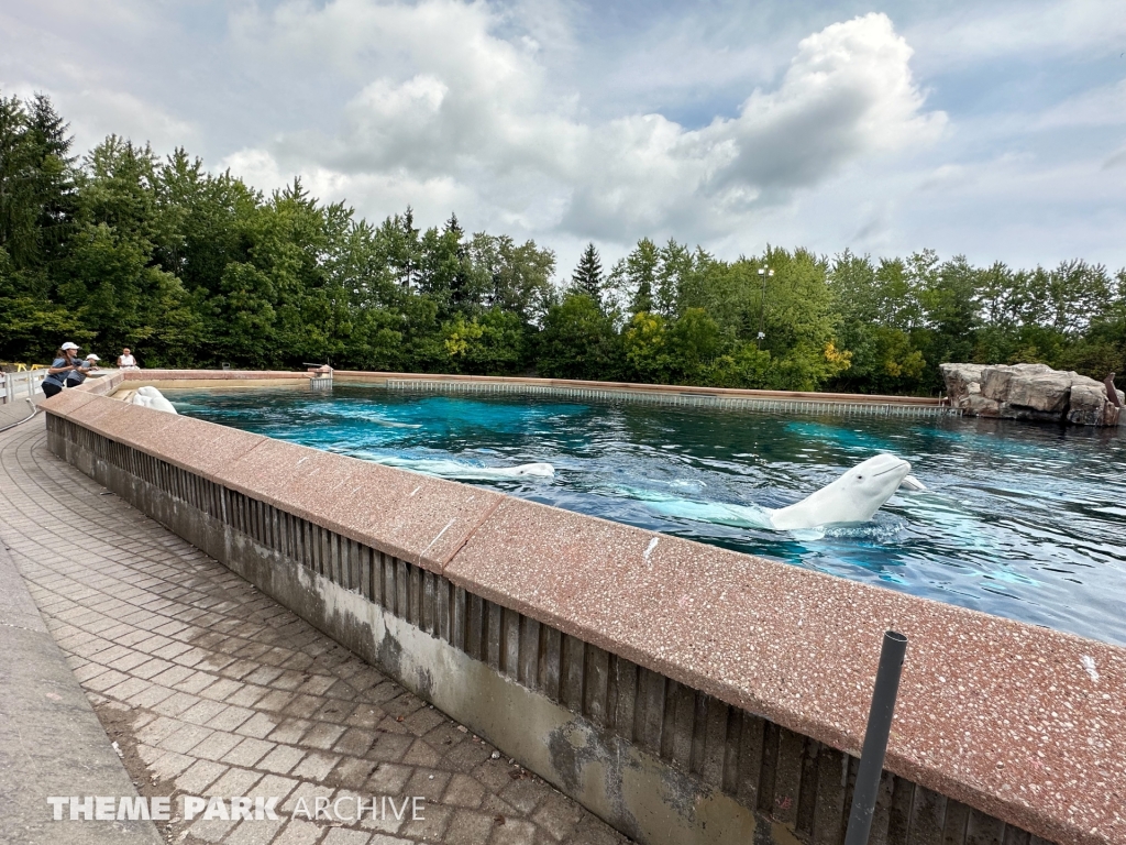 Friendship Cove at Marineland