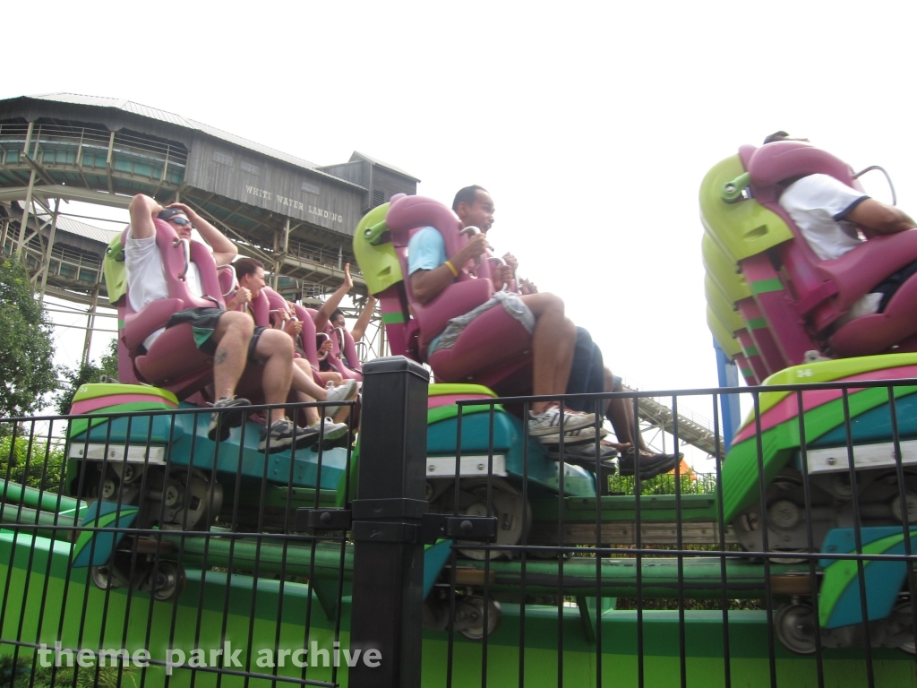 Hydra The Revenge at Dorney Park