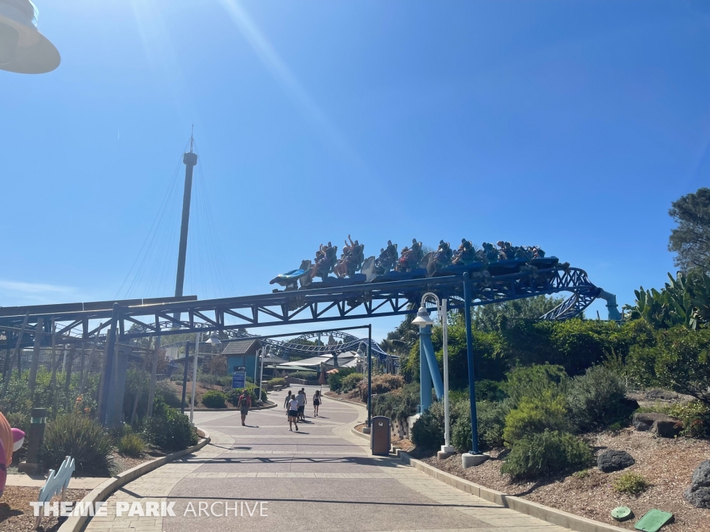 Manta at SeaWorld San Diego