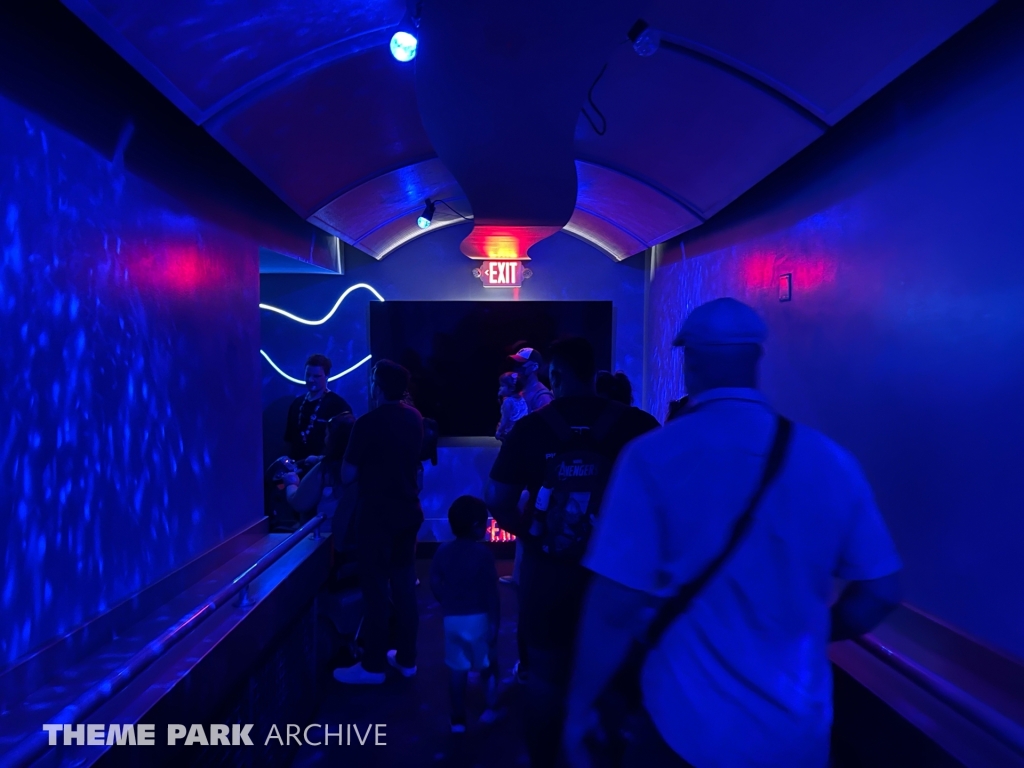 Shark Encounter at SeaWorld San Diego