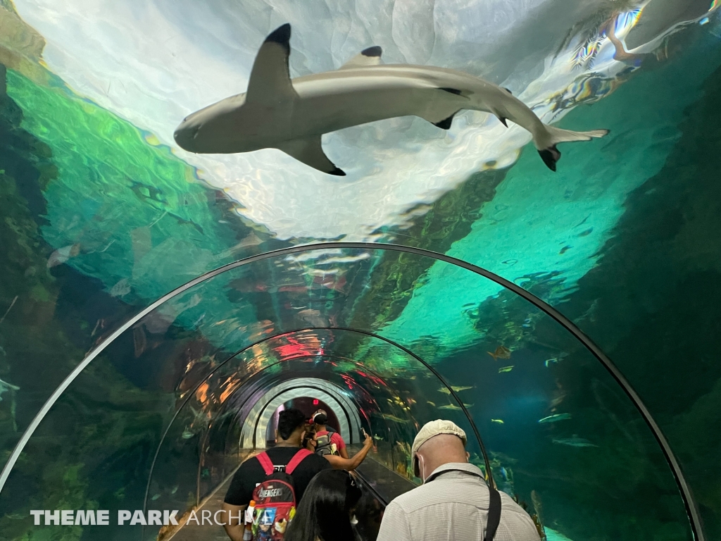 Shark Encounter at SeaWorld San Diego