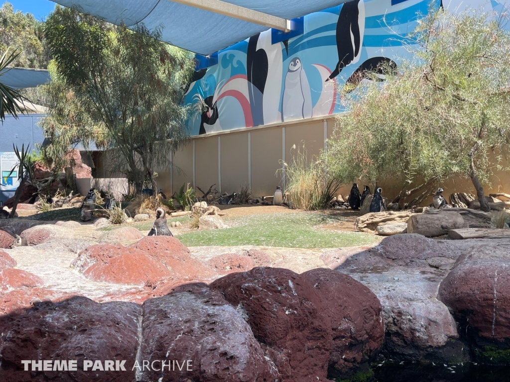 Penguin Encounter at SeaWorld San Diego