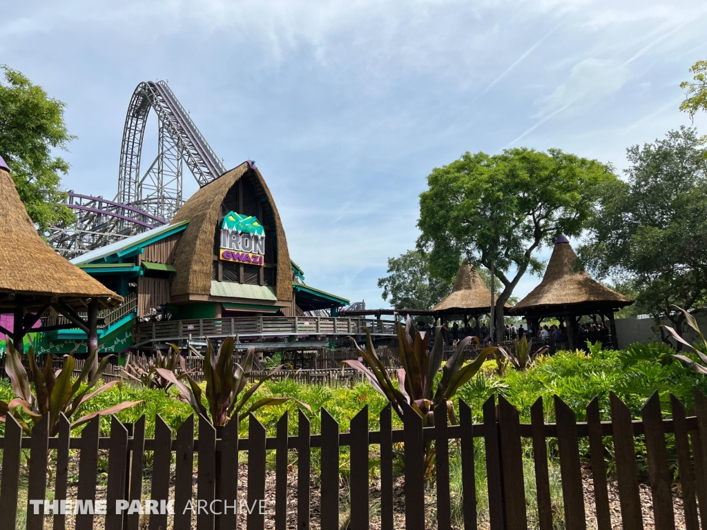 Iron Gwazi at Busch Gardens Tampa