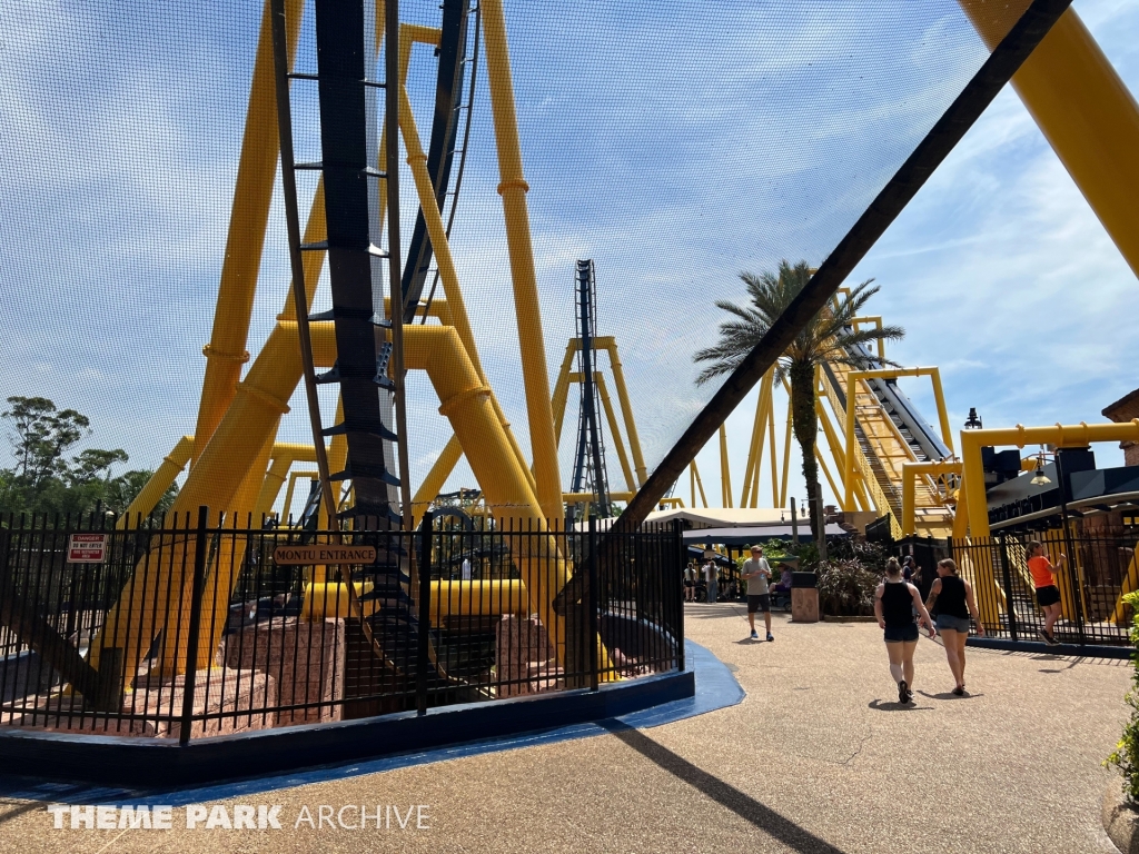 Montu at Busch Gardens Tampa