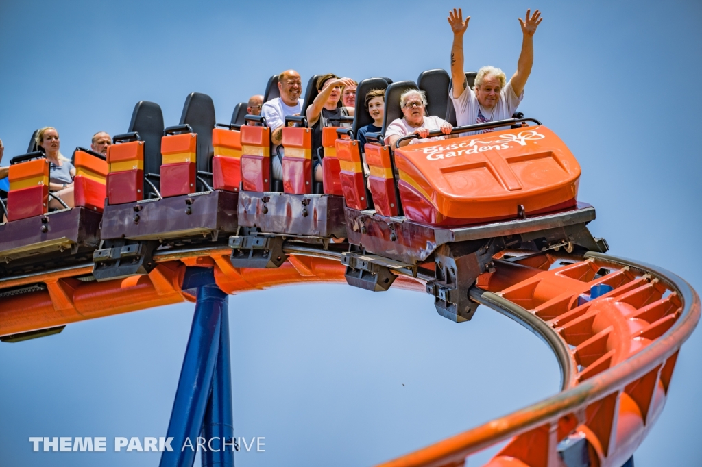Scorpion at Busch Gardens Tampa