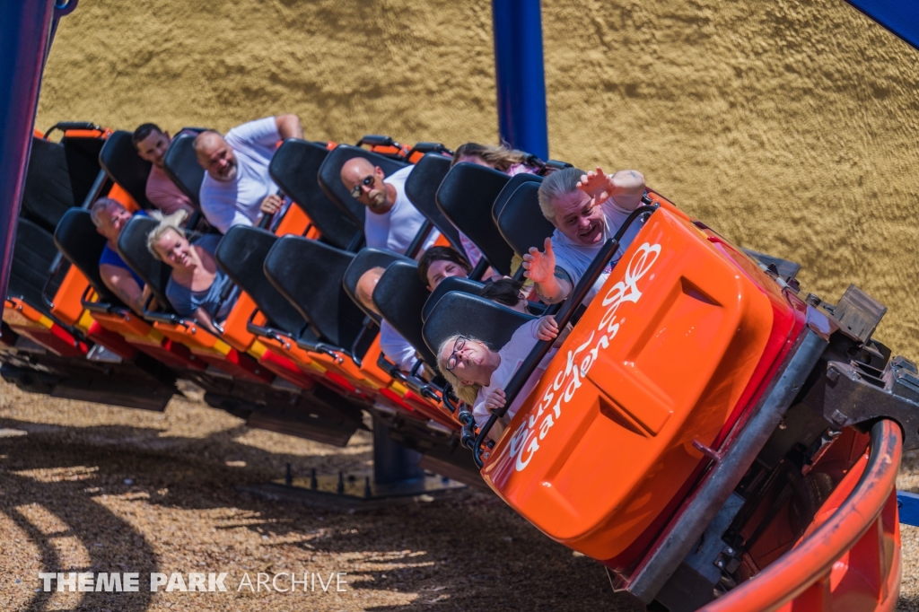 Scorpion at Busch Gardens Tampa