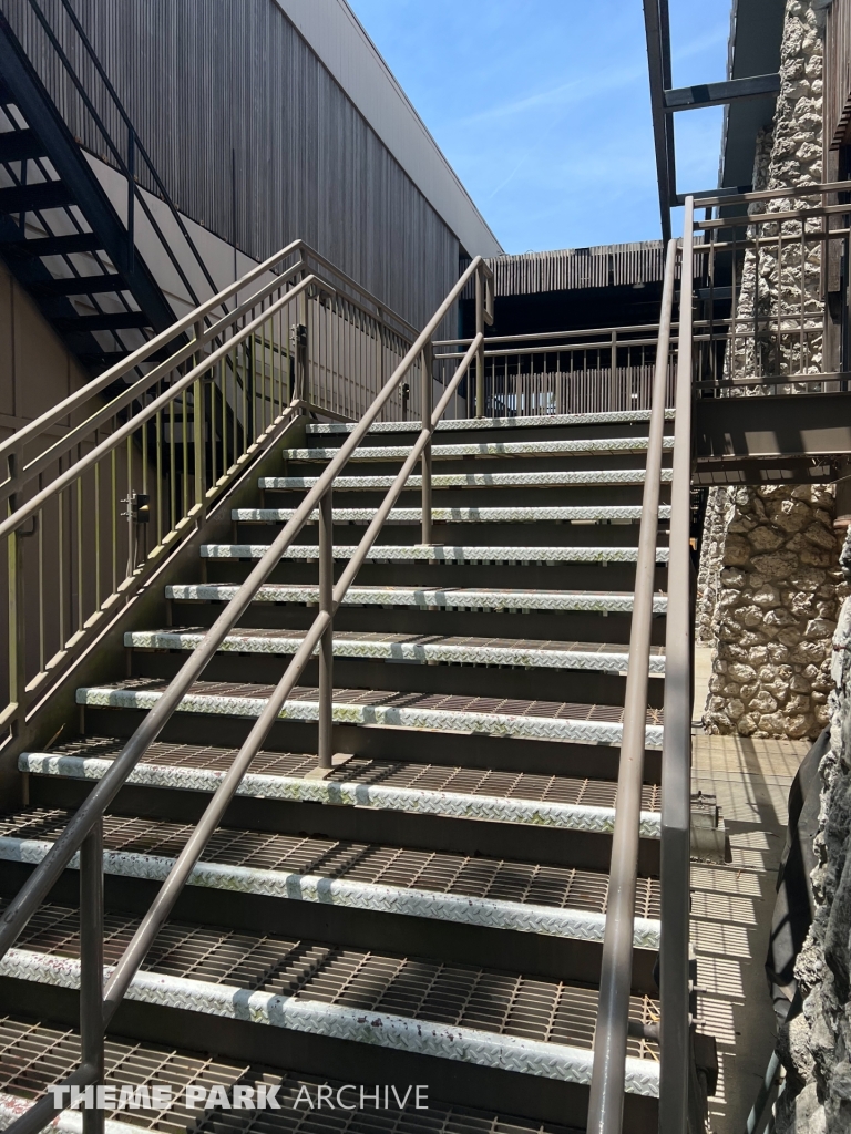 Cheetah Hunt at Busch Gardens Tampa